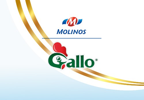 Gallo